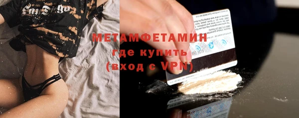 гидра Ельня