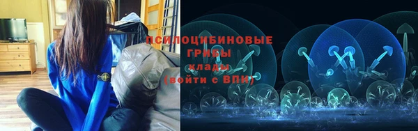 apvp Снежногорск