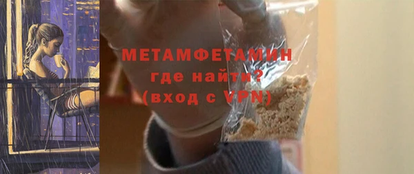 гидра Ельня
