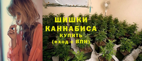 apvp Снежногорск