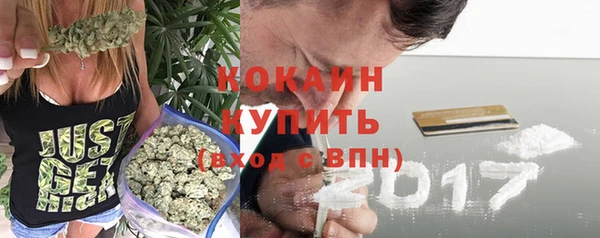 apvp Снежногорск