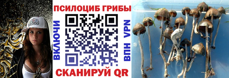 даркнет клад  сколько стоит  МЕГА ссылки  Нижняя Тура  Галлюциногенные грибы мухоморы 